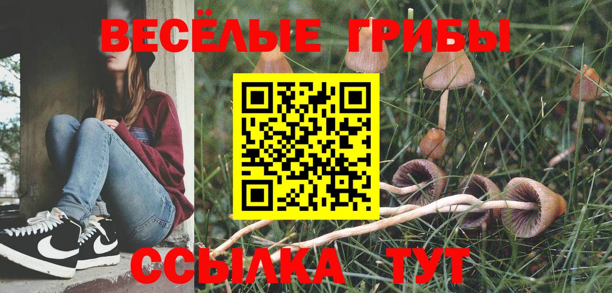 Галлюциногенные грибы MAGIC MUSHROOMS  Вход с VPN  закладка  Сызрань 
